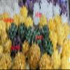 Unique Raw Rainbow Angel Aura Crystal Geode Cluster Home Decor Rock Crystal Tower Cluster Mineral Specimen Quartz Geode Cluster Lotus Flower 4inch 1pcs view 4