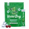 Waterboy Workout Hydration, Frozen Cherry Bomb, Sugar Free Electrolytes 15ct view 1