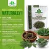 Dried Cassava Leaves Powder - 100% Pure Dride Leaves Powder For Cooking And Culinary use - Cultivated From Sri Lanka And Gluten Free - 100% Pure, Premium Qulaty (100g) view 3