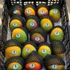 Fresh Large Mango, 2 Count Sweet, Juicy & Naturally Ripened Tropical Fruit view 2