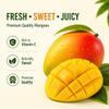 Fresh Large Mango, 2 Count Sweet, Juicy & Naturally Ripened Tropical Fruit view 3