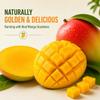 Fresh Large Mango, 2 Count Sweet, Juicy & Naturally Ripened Tropical Fruit view 4
