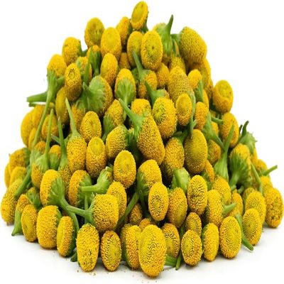 Buzz Button Flowers 50 Pack Cocktail Garnish, Mixology, Culinary Sensation, Tingling Mouthfeel (50)