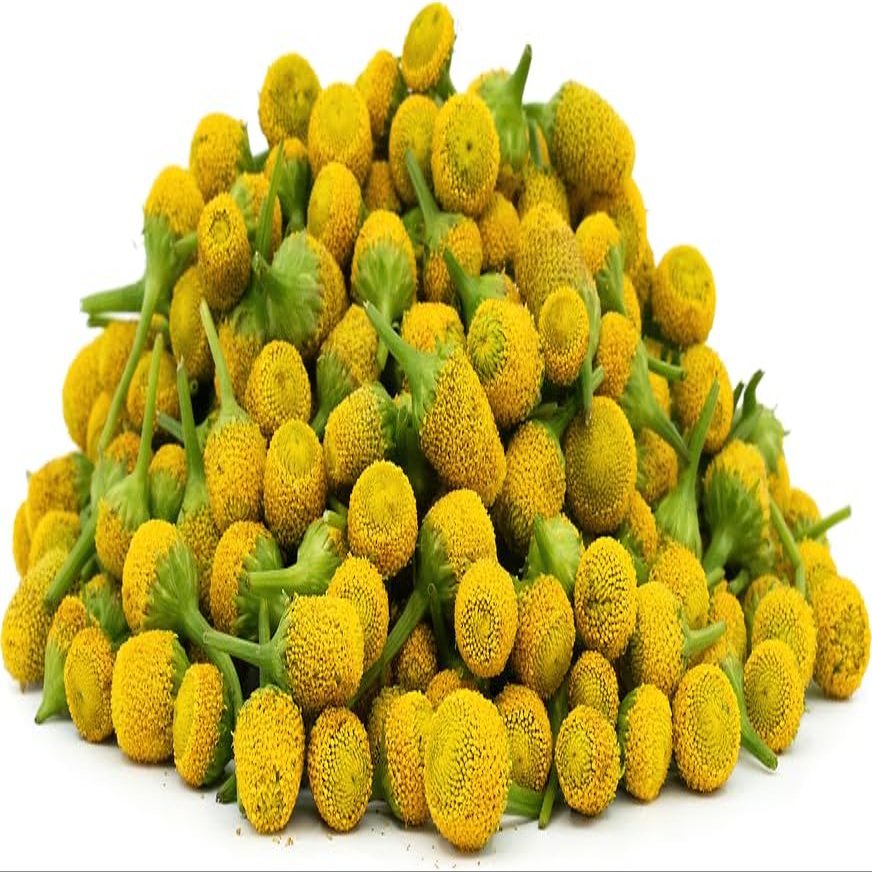Buzz Button Flowers 50 Pack Cocktail Garnish, Mixology, Culinary Sensation, Tingling Mouthfeel (50)