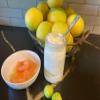 LyoPro 'Y MILD + PLUS Yogurt Culture 50 CXU Packet with free recipe view 2