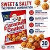 Caramel Popcorn and Peanut Snack Packs, Sweet & Salty Crunch Mix, 30 Count, 1.25 oz Each, Individually Wrapped Mini Bags view 3