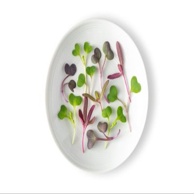 Fresh Origins, Micro Greens, Spectrum Mix, 4 count of 8 ounce each, 32 ounce Case, ideal for salads, garnishes, culinary applications, optimize flavor, enhance dishes