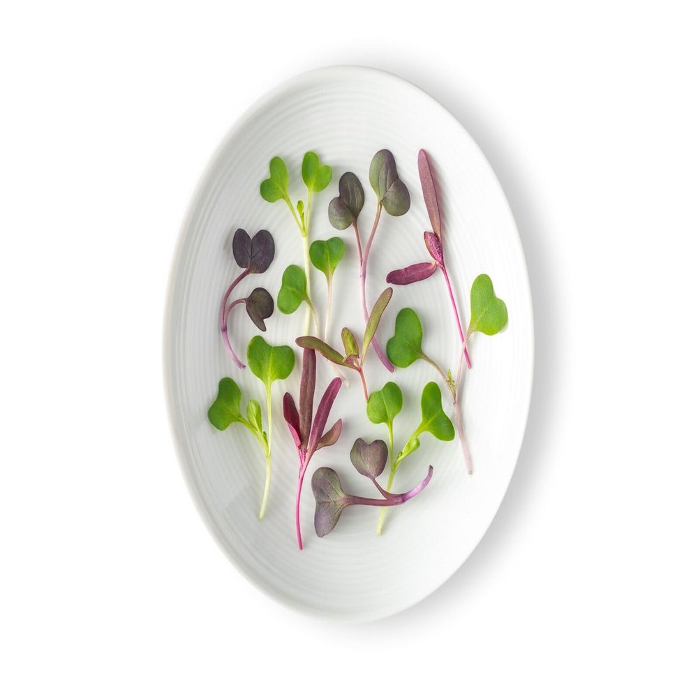 Fresh Origins, Micro Greens, Spectrum Mix, 4 count of 8 ounce each, 32 ounce Case, ideal for salads, garnishes, culinary applications, optimize flavor, enhance dishes