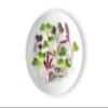 Fresh Origins, Micro Greens, Spectrum Mix, 4 count of 8 ounce each, 32 ounce Case, ideal for salads, garnishes, culinary applications, optimize flavor, enhance dishes view 1