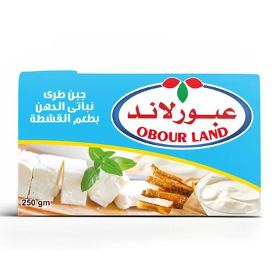 Obour Land Creamy Soft Cheese 250g Cream Flavor for Spreading