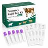 Bovine Pregnancy Test Kit for Cows (5 Tests) Rapid Results in 5-20 Minutes Early Gestation Detection at 28 Days for Dairy & Beef Cattle view 1