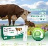 Bovine Pregnancy Test Kit for Cows (5 Tests) Rapid Results in 5-20 Minutes Early Gestation Detection at 28 Days for Dairy & Beef Cattle view 2