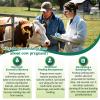Bovine Pregnancy Test Kit for Cows (5 Tests) Rapid Results in 5-20 Minutes Early Gestation Detection at 28 Days for Dairy & Beef Cattle view 3