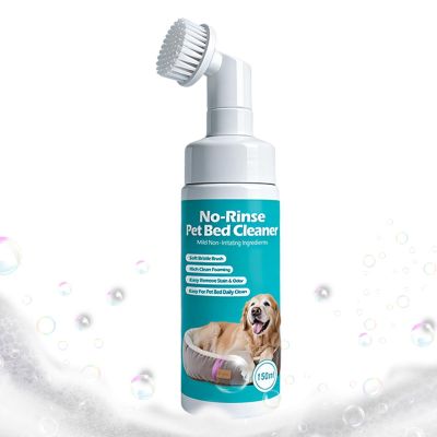 Dog Bed Cleaner Kitten Carpet Cleaning