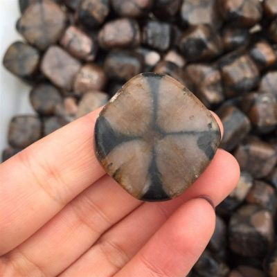 Natural Gemstone raw Staurolite Polished Fairy Cross Stone Mineral Specimen Reiki Quartz Crystal Stone as a Gift Random(2pcs)