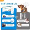 2-Pack Dog & Cat Pregnancy Test Kit Early Detection Home Urine Test for Pets, 99% Accurate Results in 5-10 Minutes, Painless & Stress-Free, Suitable for All Breeds view 4