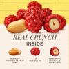 Snackathon French Burnt Peanuts, 15 oz Classic Red Candy Coated Peanuts in Resealable Bag, Old Fashioned Sweet & Crunchy Snack, Made in USA, Great for Snacking & Sharing view 2