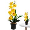 UWEOTYYY 17 Inch Orchid in Pot, Realistic Yellow Faux Orchid with 7 Flower Heads & 4 Leaves, Real Touch Decorative Silk Flowers for Home Office Wedding, Phalaenopsis view 1