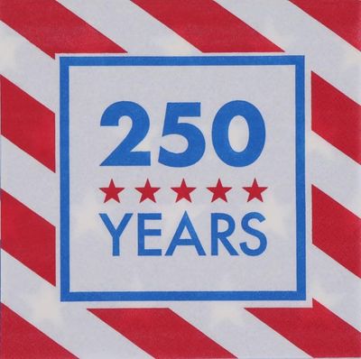 Fourth of July Patriotic American Flag Paper Lunch Napkins Disposable Party Supplies for 250th Anniversary (48)