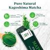 O's Bubble Ceremonial Matcha Powder Starter Kit w/Mini Shaker, 10 Packets view 3