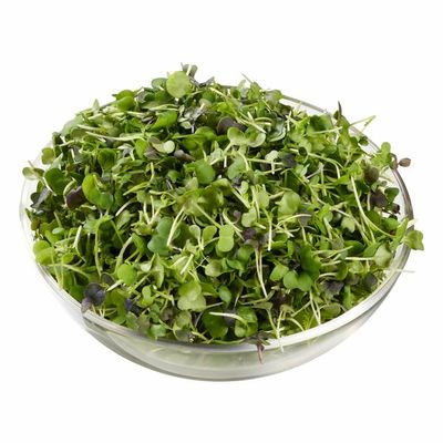 Micro Rainbow Mix Microgreens, Fresh Gourmet Blend of Tender Young Greens for Salads, Sandwiches, Smoothies & Garnishes, Nutrient Dense Fresh Microgreens, Ready to Eat, [ 6 oz 0.3 lb ]