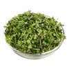 Micro Rainbow Mix Microgreens, Fresh Gourmet Blend of Tender Young Greens for Salads, Sandwiches, Smoothies & Garnishes, Nutrient Dense Fresh Microgreens, Ready to Eat, [ 6 oz 0.3 lb ] view 1