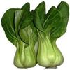 Farm Fresh Delicious Baby Bok Choy - Approx. 1 lbL8 view 1