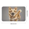 Golden Dog Diatomaceous Earth Door Mat for Entryway 20x32 Ultra Thin Non-Slip Bathroom Rug Absorbent Stone Floor Mat for Mudroom Patio Kitchen Low Profile Indoor Outdoor Doormat view 2