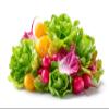 Salad Bundle view 1