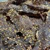 Love's Jerky Co. Garlic Delite, 100% Beef, Zero Sugar, No seed oils (5 oz) view 3