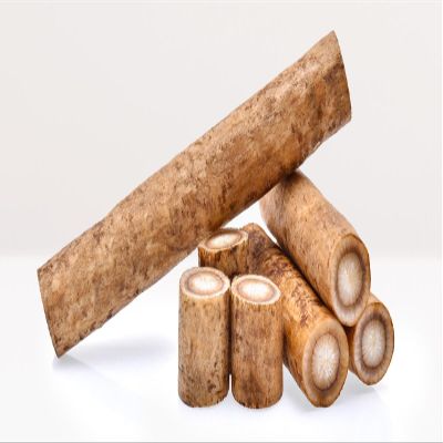Fresh Burdock Root (Gobo), Japanese Gobo Root, GMO-Free, Perfect for Japanese Cuisine - 2.5 Pounds Pack
