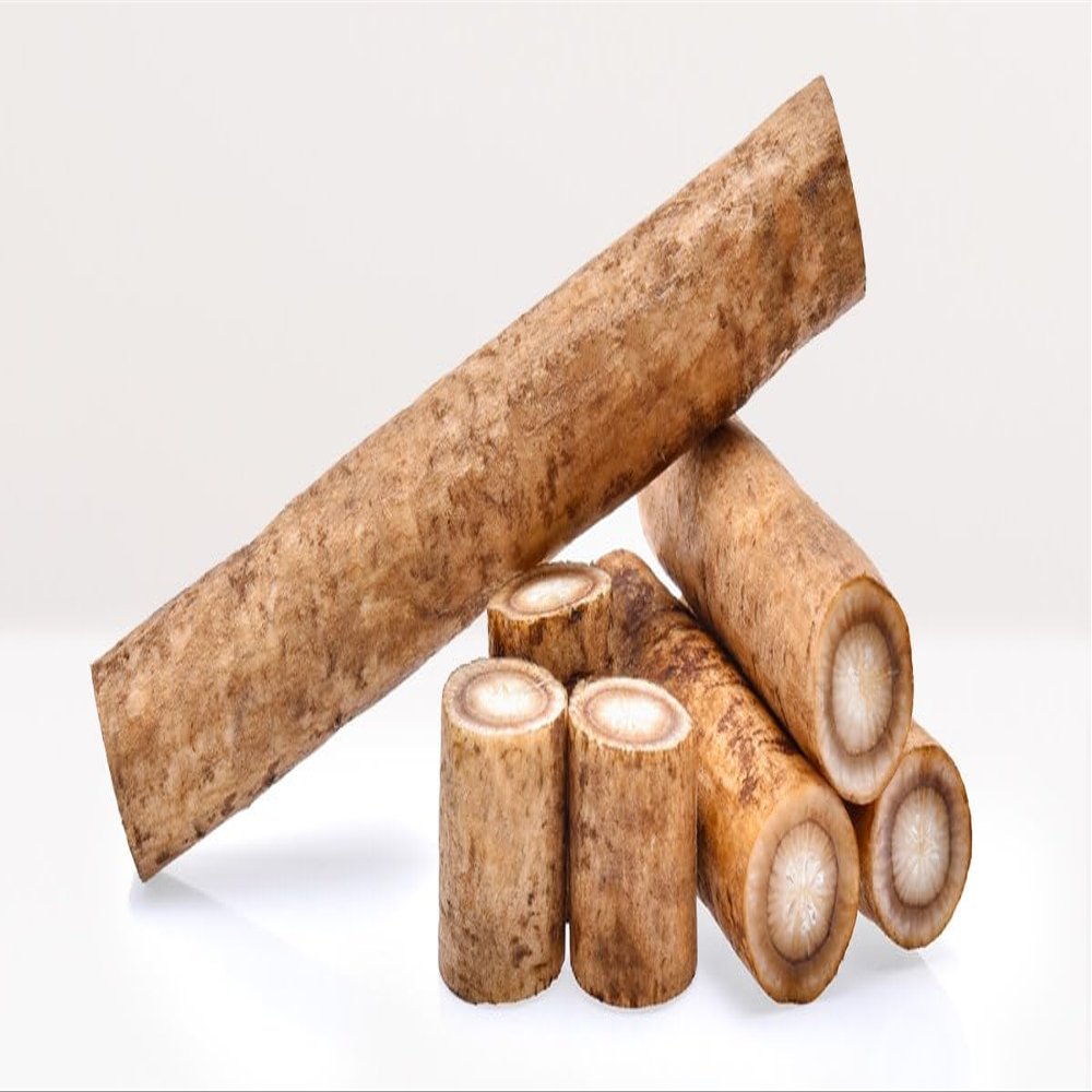 Fresh Burdock Root (Gobo), Japanese Gobo Root, GMO-Free, Perfect for Japanese Cuisine - 2.5 Pounds Pack