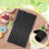 Tessco for you 100 Pcs 9.84 Inch Jumbo Smoothie Straws Bulk 10 mm Large Plastic Disposable Bubble Tea Straws Wide-Mouthed Individually Wrapped for Tall Homemade Milkshakes Drinking (Black) view 2