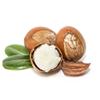 MakingCosmetics Shea Butter Glycerides, Water-Dispersible Natural Emollient and Emulsifier - 3.5oz / 100g view 3