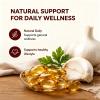 chasingdre Vitalisse AJO Envejecido, Odorless Aged Garlic Extract, for Daily Wellness (3Pcs) view 3