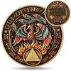EXY 2 Year Sobriety Coin | Phoenix Rising Design | 3D Texture AA NA Medallions & Recovery Chips | Anniversary Sobriety Gift Set with Token Capsule, Stand & Card for Men Women view 1