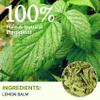 Lemon Balm Tea Bags, Pure & Natural Melissa Officinalis Herbal Tea, Premium Dried Lemon Balm Leaf with Naturally Lemony & Citrusy Flavor, Caffeine-Free, Non-GMO, 100 Count view 2