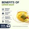 Lemon Balm Tea Bags, Pure & Natural Melissa Officinalis Herbal Tea, Premium Dried Lemon Balm Leaf with Naturally Lemony & Citrusy Flavor, Caffeine-Free, Non-GMO, 100 Count view 4