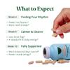 Semaine Peri/Menopause & Urinary Defense Bundle, Hot Flashes, Brain Fog, Sleep & Urinary Tract Health Support, Clinically-Studied Ingredients 1 Month view 3