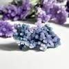 UNYQBFKM Natural Grape Agate Geodes Mineral Specimen, Healing Crystal Irregular Cluster Gemstone for Home Dcor Meditation Reiki Chakra Therapy Beginners Gift,0~10G view 4