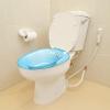 Foldable 2000ml Sitz Bath with Flush, Hip Pelvis Bidet with Markings, Squat- Toilet Tub with Steam Function for Most Toilets, F, Pink view 4