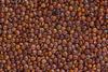 RawJoy Red Quinoa, Whole Grain, Gluten-Free, Non-GMO, Bulk Dry (10 pounds) view 3