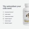 Dear Apothecary Resveratrol+ 600mg Trans-Resveratrol from Japanese Knotweed Root - Dual Extract Anti-Aging & Heart Support - Vegan, Non-GMO, Gluten Free - 60 Capsules view 2