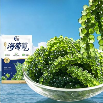 Sea Grape, Healthy Nutritious Cold Dish, Salad, Sushi Side Dish,Hot Pot Ingredient,Dried Seaweed & Nori,Vegetable Snack, Vegan,Delicious Japanese Leisure Food (2bags)