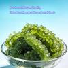 Sea Grape, Healthy Nutritious Cold Dish, Salad, Sushi Side Dish,Hot Pot Ingredient,Dried Seaweed & Nori,Vegetable Snack, Vegan,Delicious Japanese Leisure Food (10bags) view 2