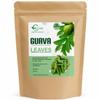 Ceylon Rustic Savour Dried Guava Leaves, 100 Whole Dried Guava Leaves for Herbal Tea Preparation, Infusion & Pantry Use, Resealable Pouch, Product of Sri Lanka, view 1