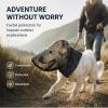 Foxtail Mask for Dogs, Field Net Guard Dog Foxtail Protection Hood for Dogs Prevent Foxtails Thorns Rocks Insects, Lightweight Adjustable Dog Face Guard for Hiking, Outdoor Adventures (S) view 3