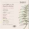 Buena Vida Specialty Coffee - La Bella Natural | 100% Certified Regenerative Costa Rican Coffee | Medium Roast, CaturraCatua | Specialty Grade (86 Score) | Whole Bean | 12 oz view 2