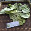 Daun Kupu Kupu (Bauhinia purpurea) Purple Orchid Tree Dried Leaves (900 gram) view 4
