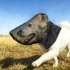 Foxtail Mask for Dogs, Field Net Guard Dog Foxtail Protection Hood for Dogs Prevent Foxtails Thorns Rocks Insects, Lightweight Adjustable Dog Face Guard for Hiking, Outdoor Adventures (S) view 4